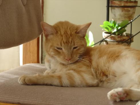 Tigger