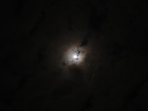 Luna de noviembre
