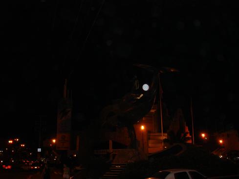 Ballena de noche