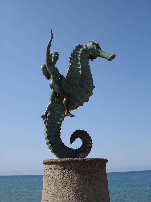 Caballito de Mar