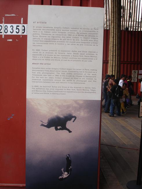 El artista, acerca del artista