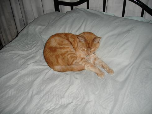 Tigger