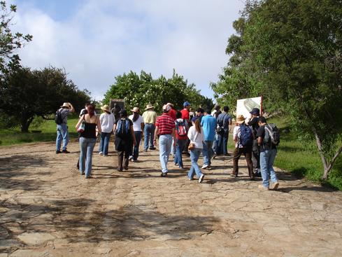 El grupo