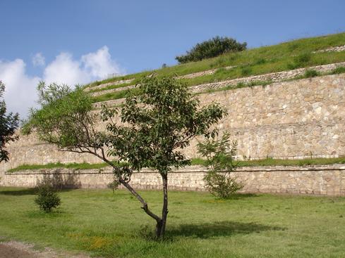 Monte Albán