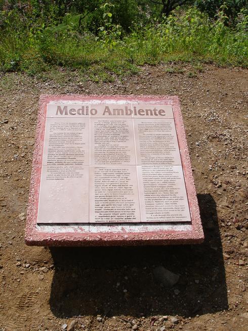 Medio Ambiente