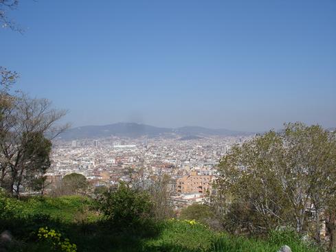 Desde el Museo Miró