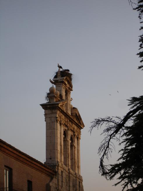 En Alcalá de Henares