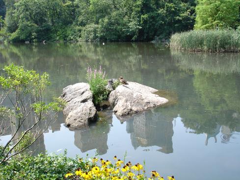 En Central Park