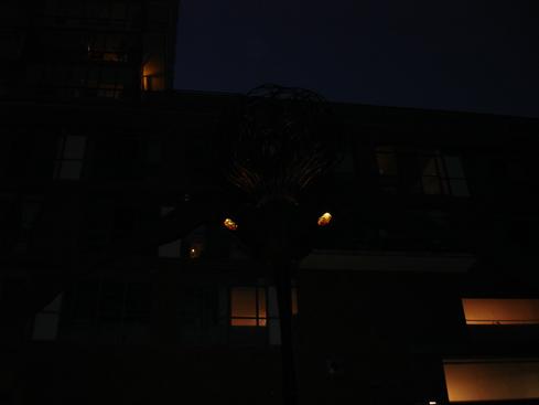En el Distillery District