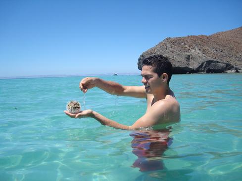 Rafa y el pez globo