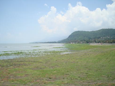 El fondo del lago con pasto