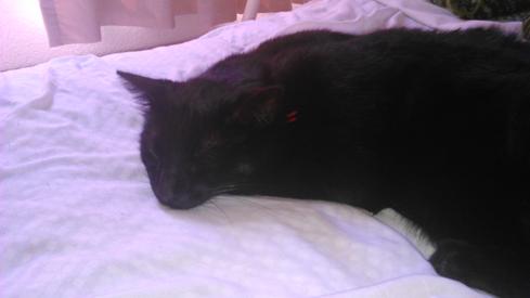 Moreno durmiendo