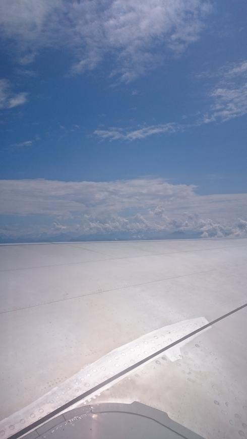 El avión