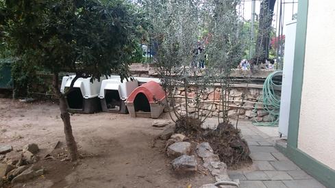 Jardín nacional de Atenas
