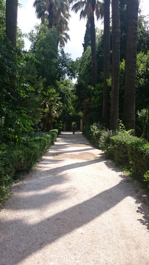Parque de Alexandra