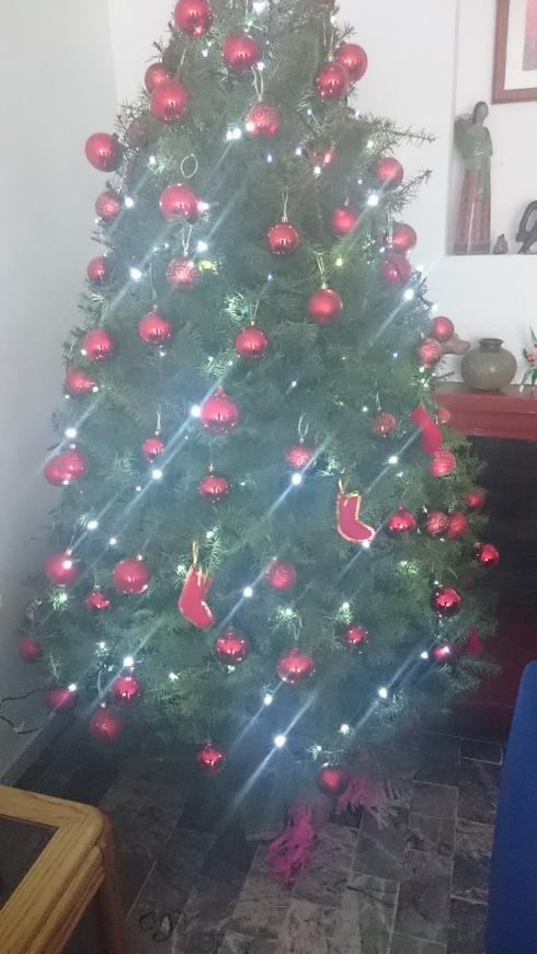 El arbolito de navidad