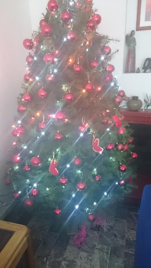 El arbolito de navidad