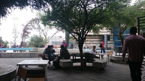 Desde la cafetería de la Facultad