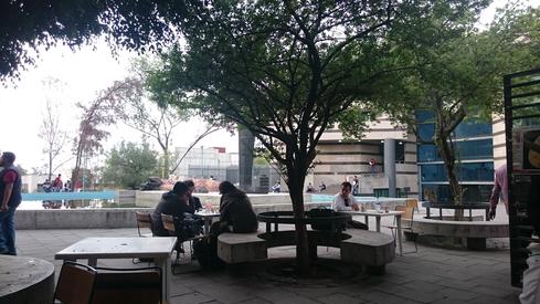 Desde la cafetería de la Facultad