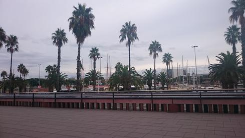 Moll de la Fusta