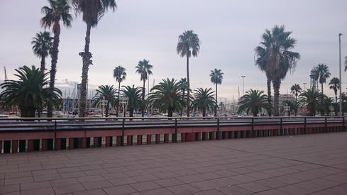 Moll de la Fusta