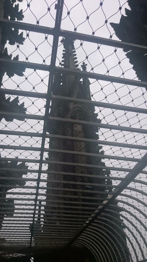 Desde el Kölner Dom