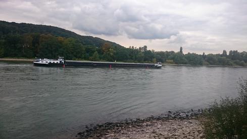 El Rhein