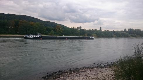 El Rhein