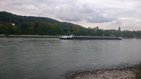 El Rhein