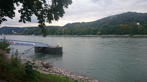 El Rhein