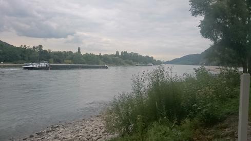 El Rhein