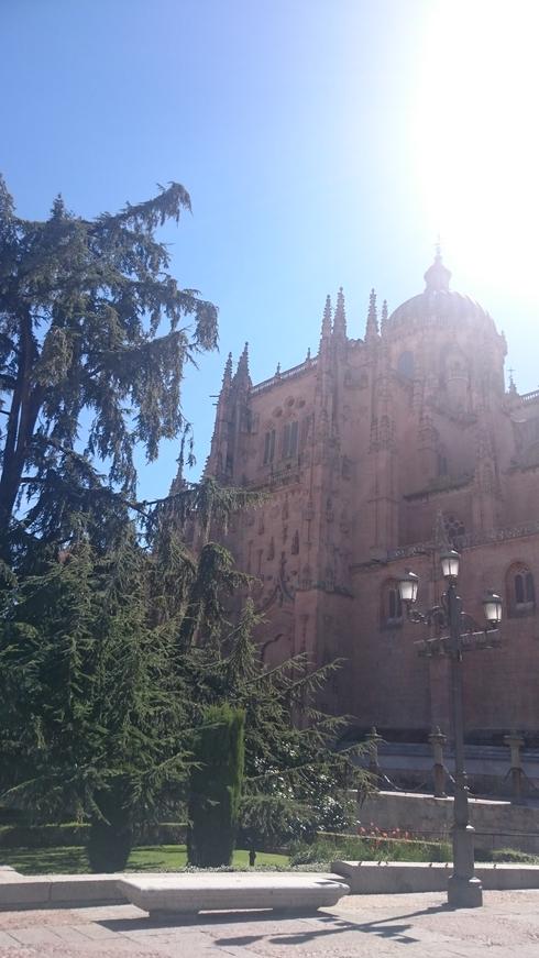 Catedral Nueva