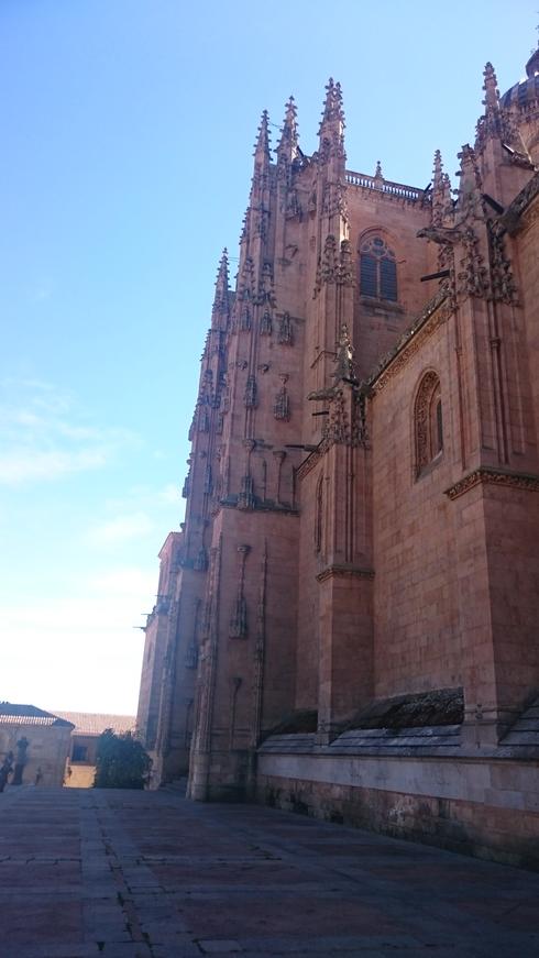 Catedral Nueva