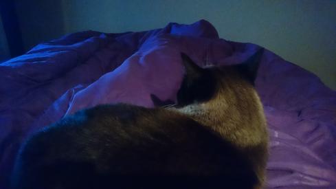 Mauricia durmiendo