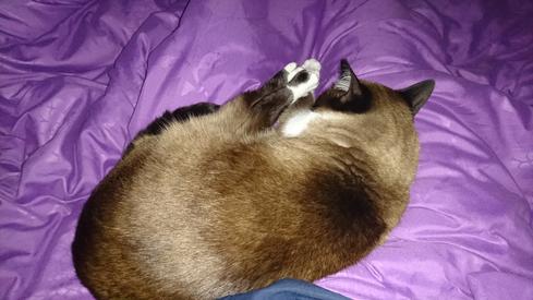 Mauricia durmiendo