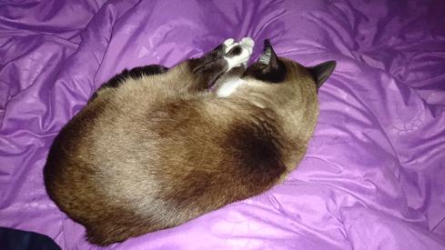 Mauricia durmiendo