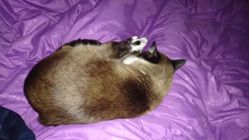 Mauricia durmiendo