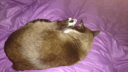 Mauricia durmiendo