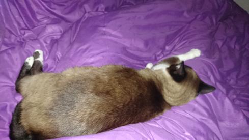Mauricia durmiendo