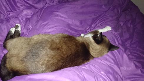 Mauricia durmiendo