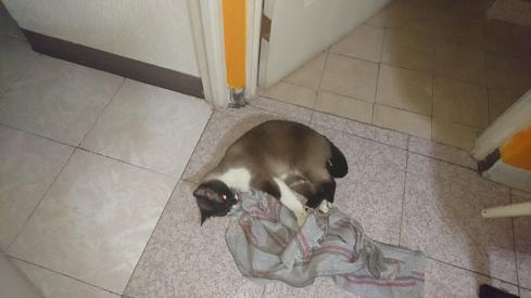 Mauricia contra la jerga