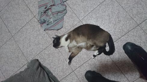 Mauricia jugando