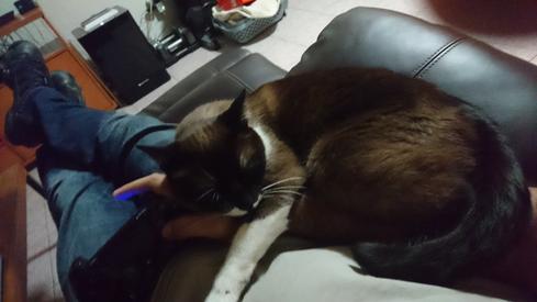 Mauricia no dejándome jugar
