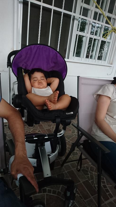 Mateo