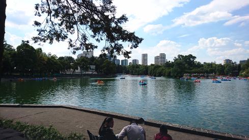 El lago