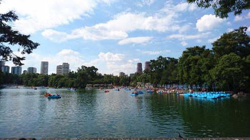El lago
