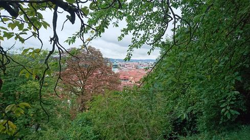 En Graz
