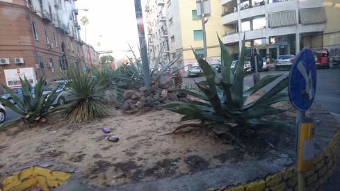 Sávila