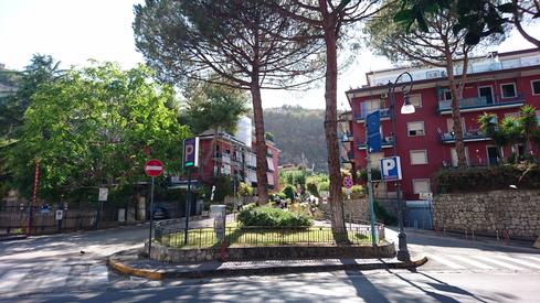 Árboles