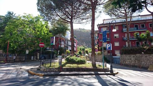 Árboles